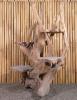 Product image 10 of the product “Shelf made of teak wood about approx. 150cm height ”